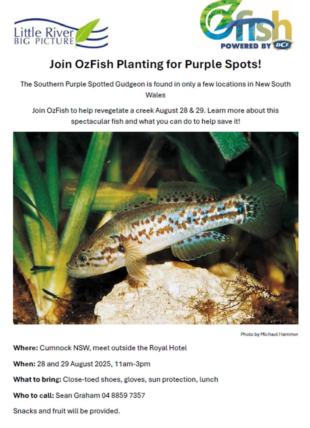 ozfish planting aug 2025